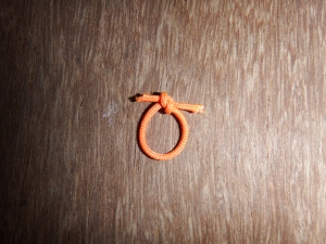 Small loop of string